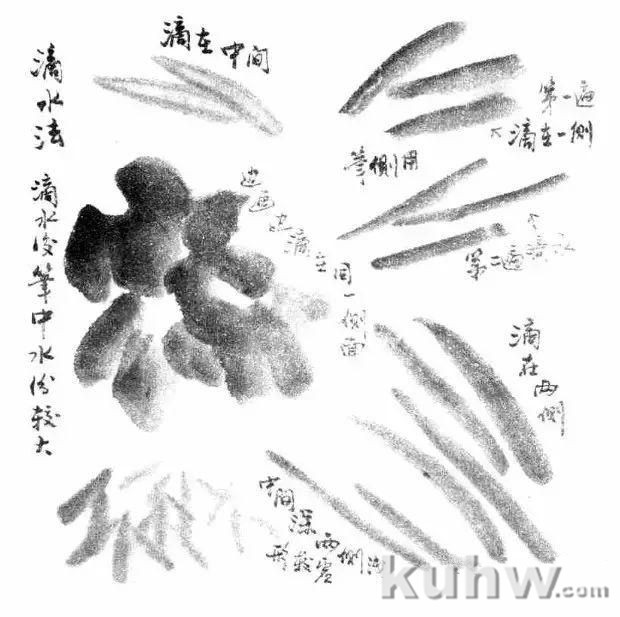 如何画好写意花鸟画？