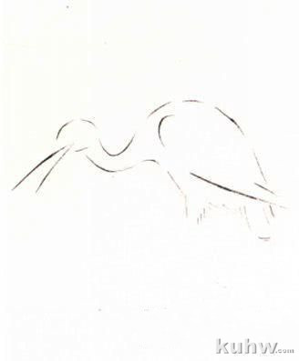 写意翎毛十招，鹅的画法步骤，鹰的画法步骤，鸬鹚画法步骤