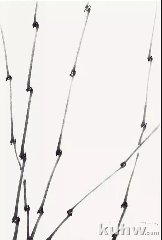 图文教程 丨《竹韵》绘制步骤