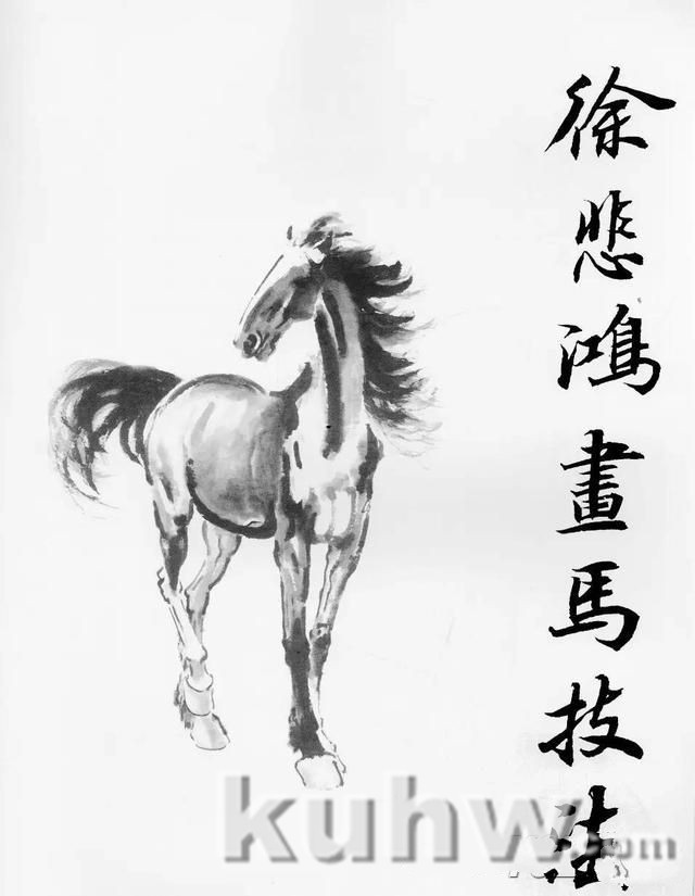 画马超级教程:徐悲鸿画马技法(上)