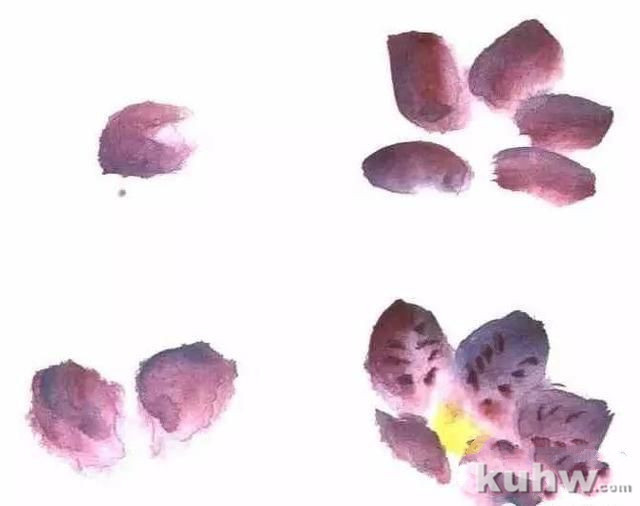 图文教程：杜鹃花的写意画法