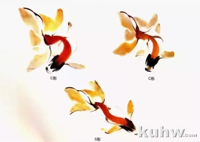 国画扇面金鱼画法图文教程，金鱼的画法技巧步骤，水草的画法