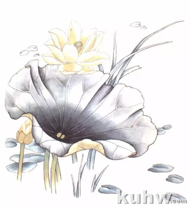 画友之家-技法篇-工笔花卉白描、工具及设色步骤,太全啦!