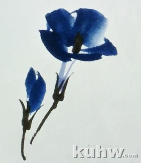 国画之整枝牵牛花的画法,以及牵牛花的多种形态画法