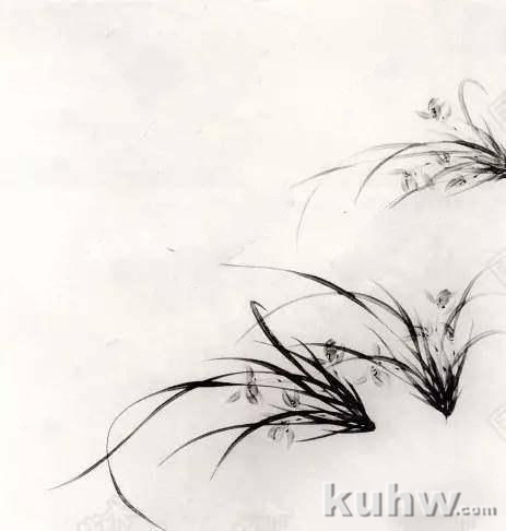 怎么画兰花?国画水墨画兰花步骤示范画法图文教程详解!