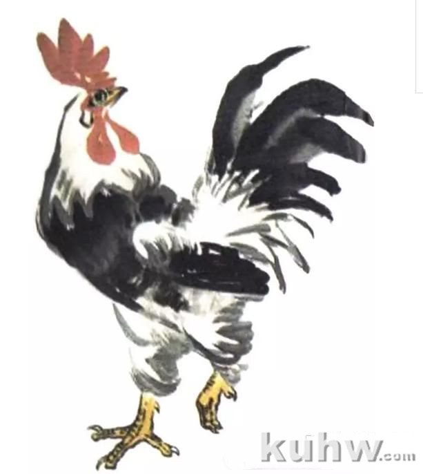 图文教程:写意公鸡画