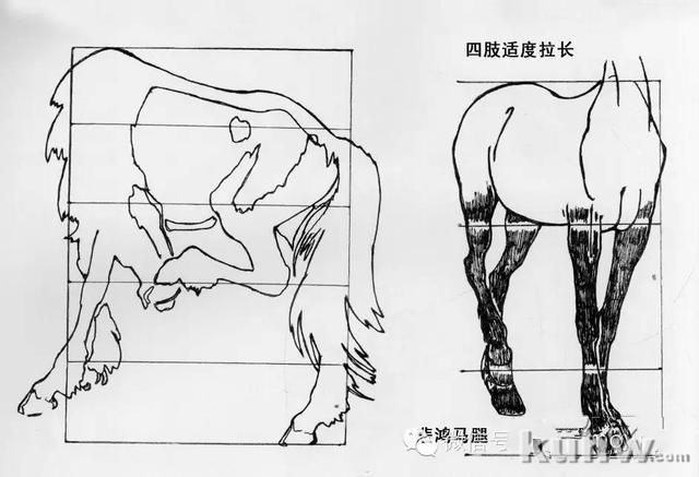 画马超级教程:徐悲鸿画马技法(上)