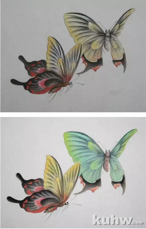蝴蝶工笔技法步骤