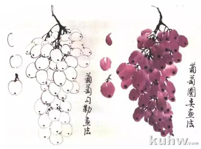 写意花鸟临本:国画葡萄画法,葡萄的绘画技法