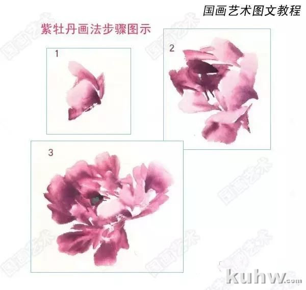 牡丹九大色系特点与画法