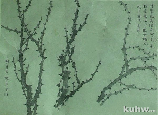 写意月季花的画法