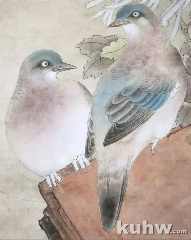 工笔大山雀、斑鸠设色步骤图文讲解