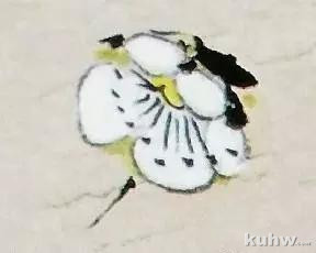 画梅之梅花花朵的勾勒法画法，各种姿态的梅花