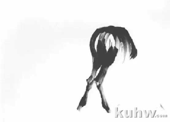 教你怎样画毛驴,小毛驴简单画法画法,国画写意毛驴的画法和步骤图解