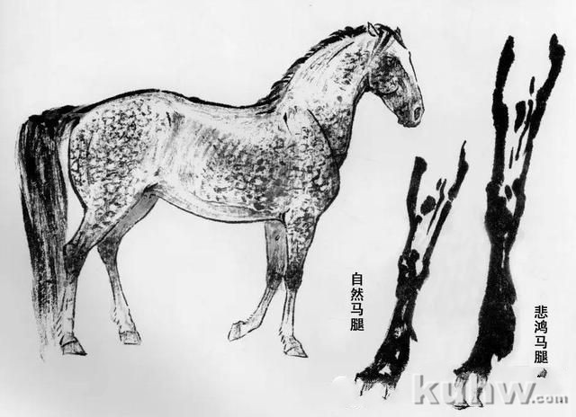 画马超级教程:徐悲鸿画马技法(上)