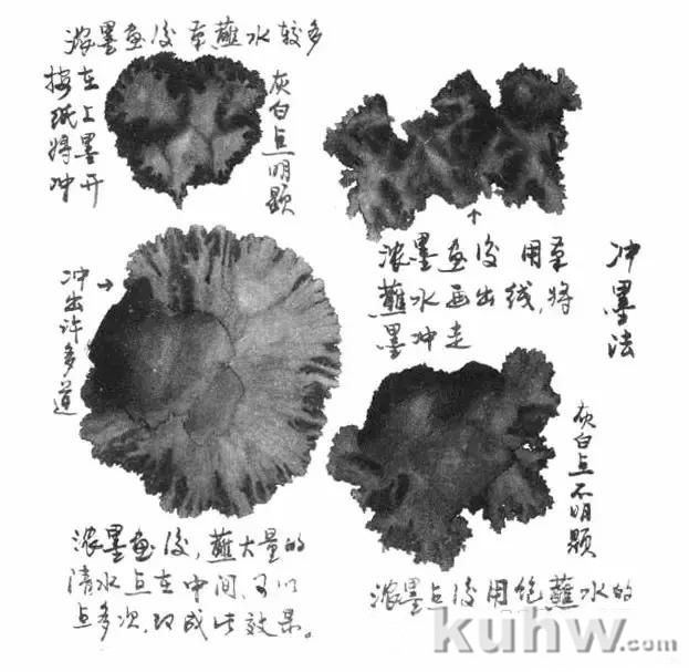 写意花鸟用墨技法详解!