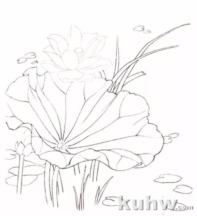 画友之家-技法篇-工笔花卉白描、工具及设色步骤,太全啦!