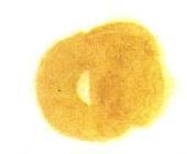 国画教学：写意鸡冠花和枇杷的画法