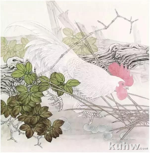 自学工笔画入门教程:工笔画雄鸡步骤详解,工笔雄鸡大图赏析