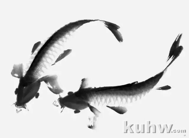 写意鲤鱼画法详解