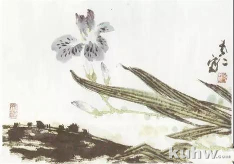 图文教程丨写意花卉画法――鸢尾