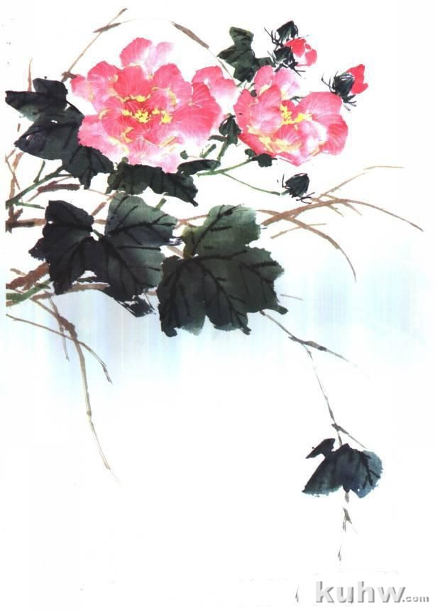 国画技法:写意芙蓉的画法