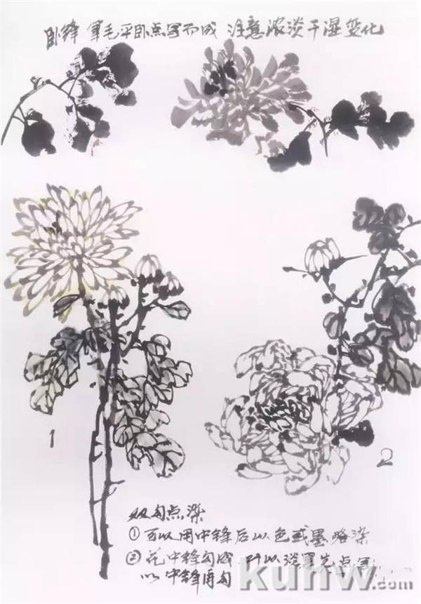 水墨画菊花的画法图文教程，水墨菊花创作技法步骤示范
