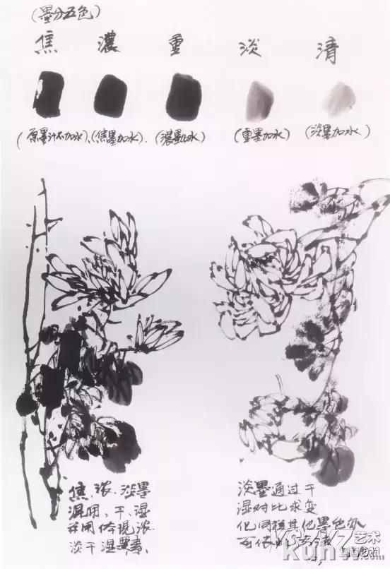 写意画菊花的画法教程