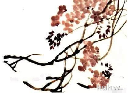 怎么画紫藤,写意紫藤的画法与步骤图