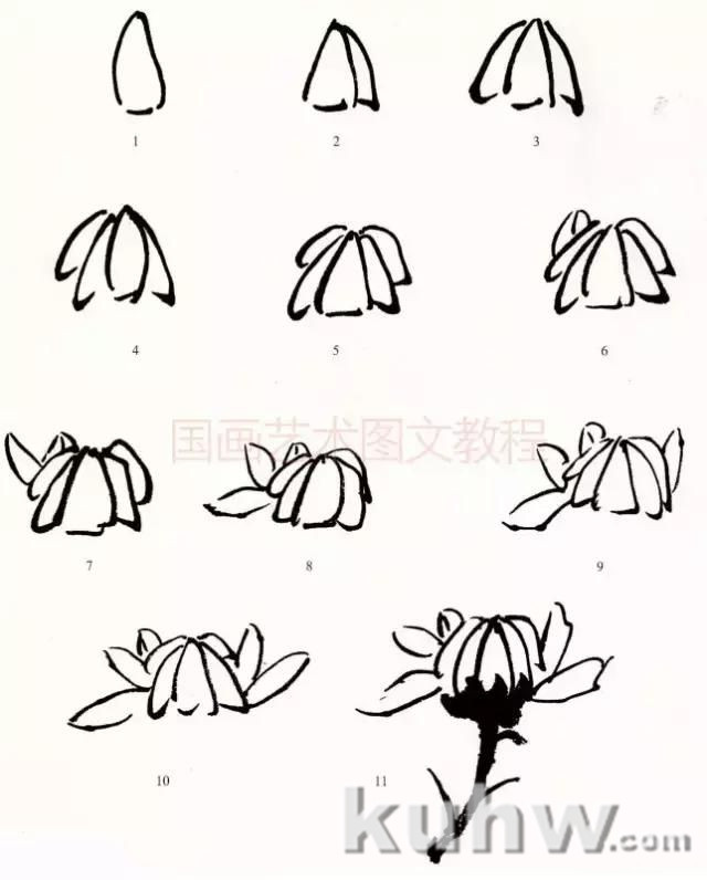 菊花写意画法步骤图文详解，菊花与叶的组合画法