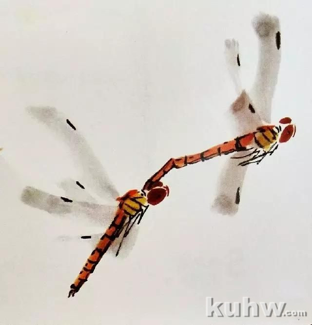 画昆虫之不同形态的蜻蜓以及画蜻蜓的步骤