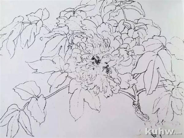 名师课徒稿:跟着陆抑非学画花卉!