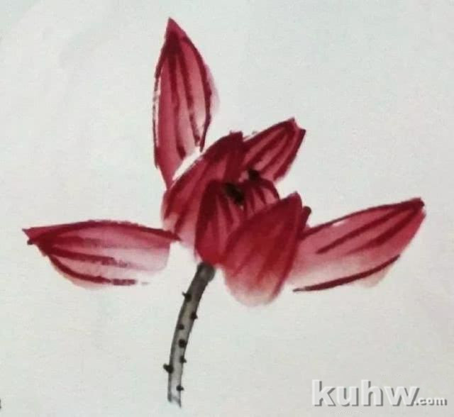 国画之荷花花头的没骨法画法,以及不同形态的荷花花头