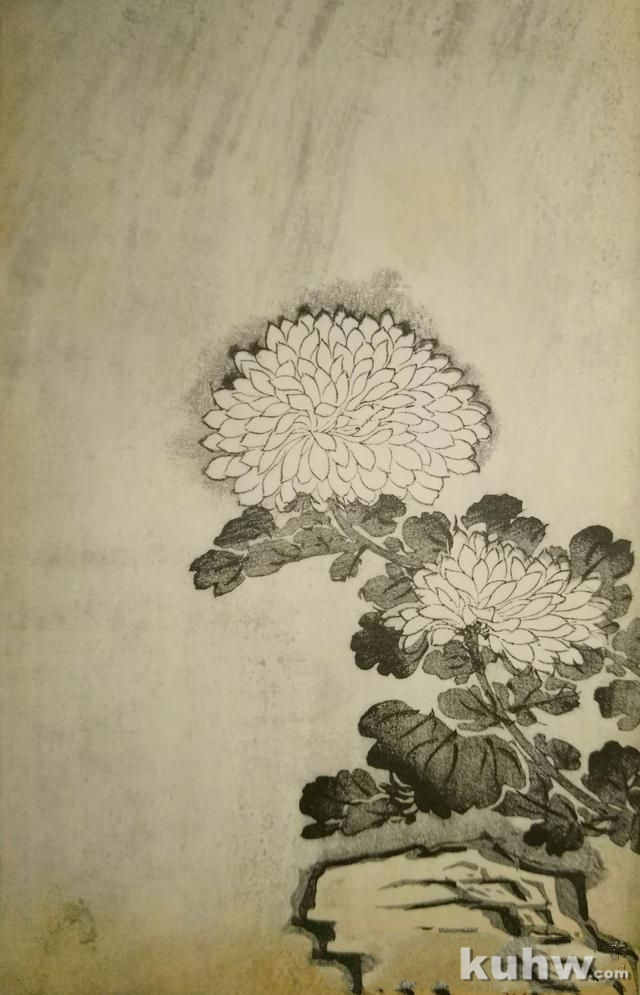 墨菊画得好，还要会搭配！这样搭配，轻松搞定你想要表达的主题