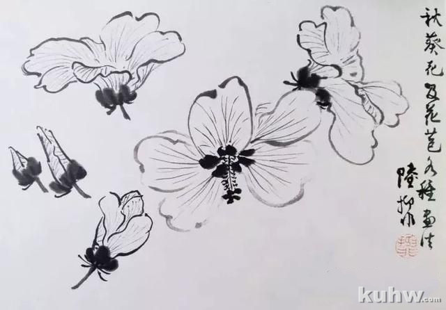 名师课徒稿:跟着陆抑非学画花卉!