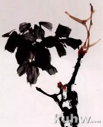 图文教程:写意牡丹玉兰画法解析