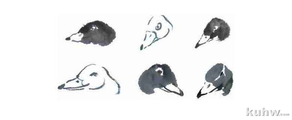 山雀、喜鹊、小鸡、鸭子的画法