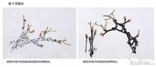 教你如何画彩墨牡丹