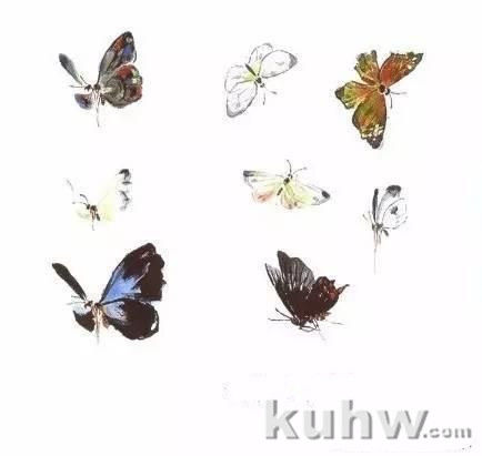 图文教程:写意昆虫画法