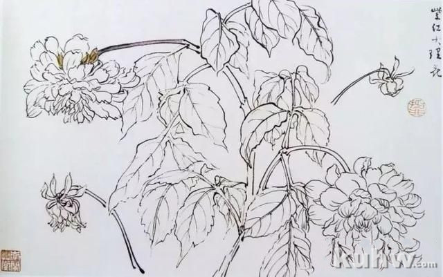 名师课徒稿:跟着陆抑非学画花卉!