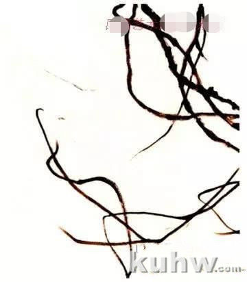 怎么画紫藤,写意紫藤的画法与步骤图