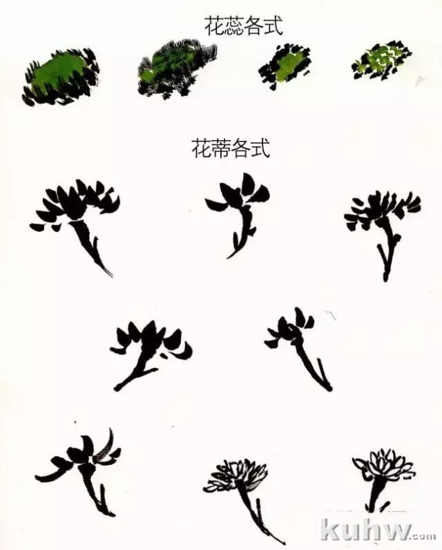 菊花写意画法步骤图文详解，菊花与叶的组合画法