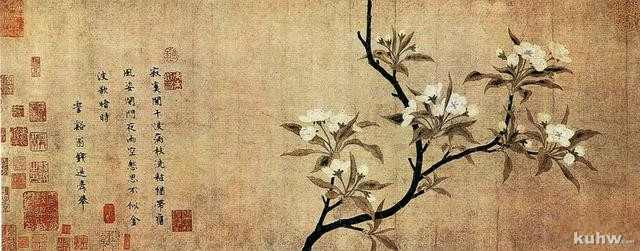 中国画梨花的基本画法