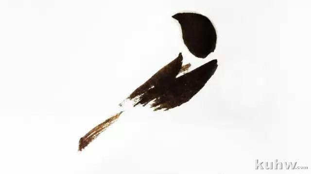 如何画好各种姿态的麻雀（详细步骤图解 1）