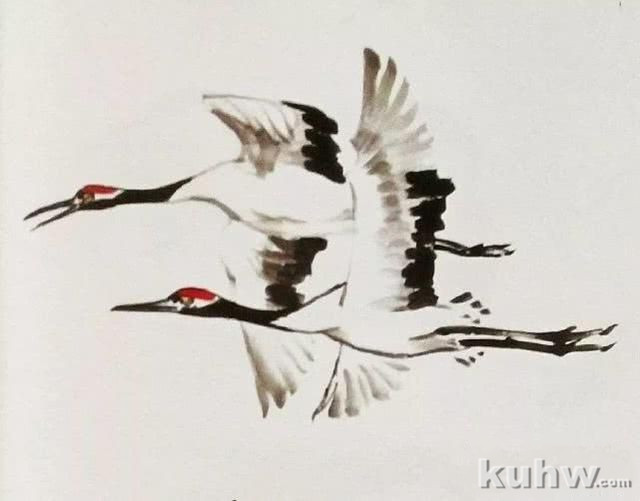 画鸟之仙鹤的画法，以及仙鹤的优雅多姿的形态画法