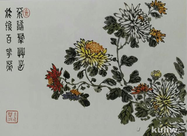 清前名家26种墨菊搭配技法之四,简单易学+21幅示范图