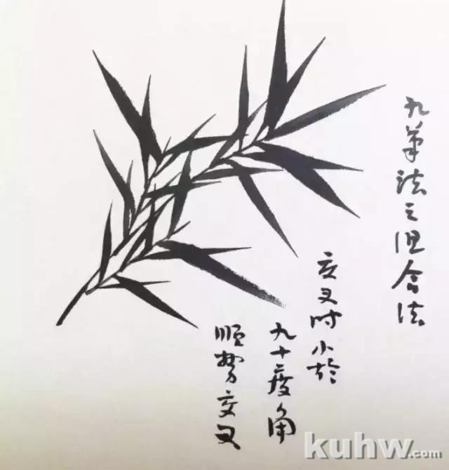 学习画竹,太全面了