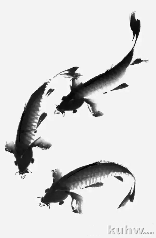 适合初学者的写意鲤鱼画法详解