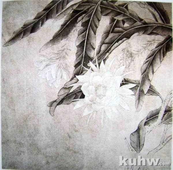 中国工笔花鸟绘画教程，工笔画各种技法画法步骤讲解，工笔白描稿！