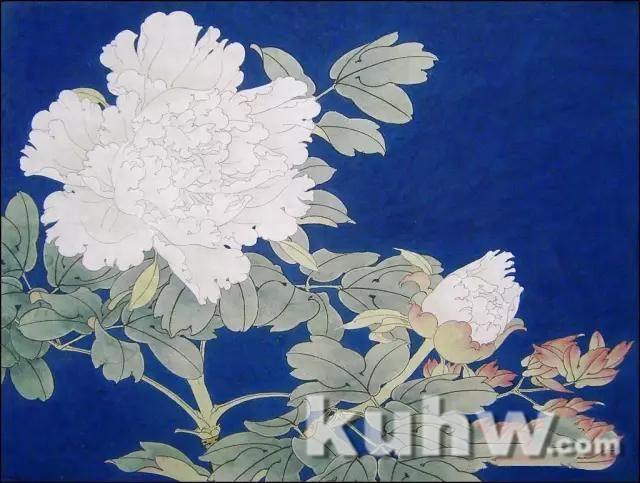 工笔《白色牡丹》设色步骤